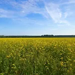 Casa vacanze Im Fischersteig Wustrow (Mecklenburg-Strelitz)