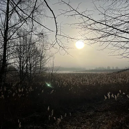 Im Fischersteig Wustrow (Mecklenburg-Strelitz)