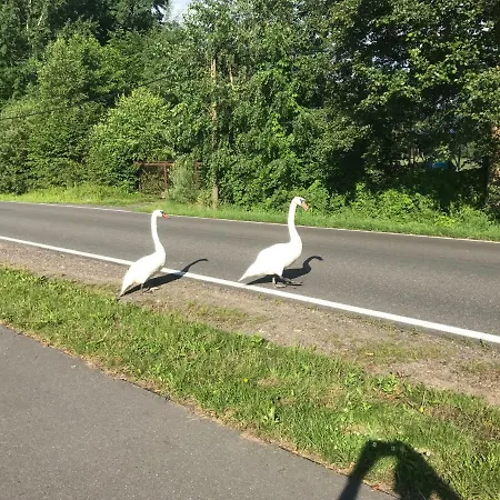 Im Fischersteig