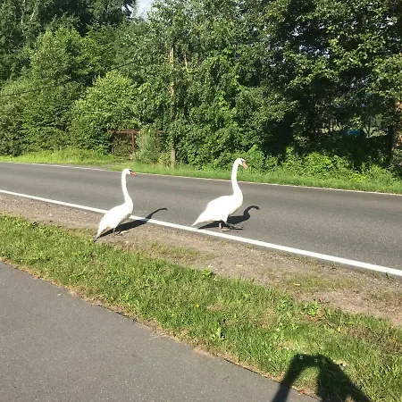 Im Fischersteig