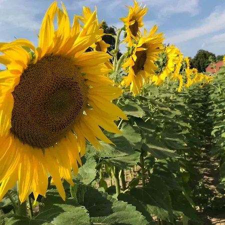 Сasa de vacaciones Im Fischersteig