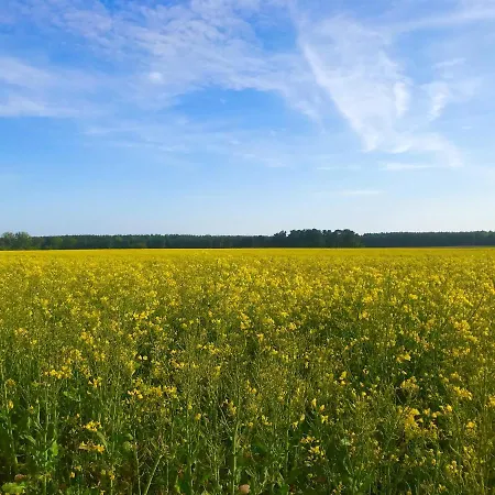 Hébergement de vacances Im Fischersteig Wustrow (Mecklenburg-Strelitz)