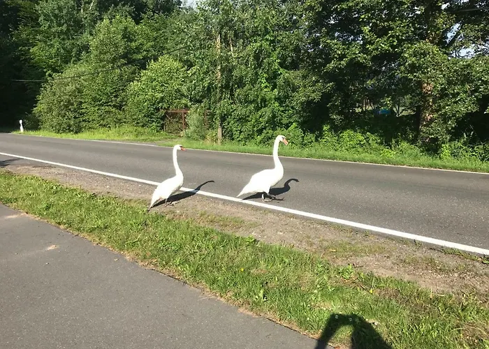 Im Fischersteig