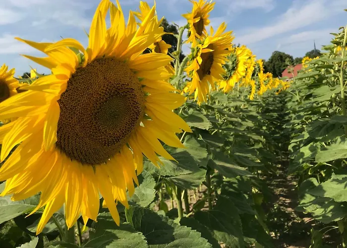 Prázdninový dům Im Fischersteig