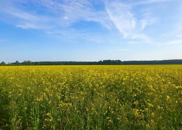 Prázdninový dům Im Fischersteig Wustrow (Mecklenburg-Strelitz)